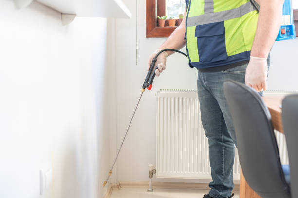 Best Affordable Pest Control Services  in Houston, MS