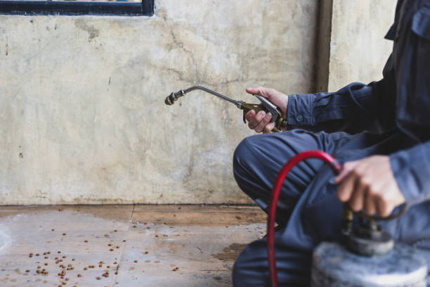 Best Rat Extermination Near Me  in Houston, MS